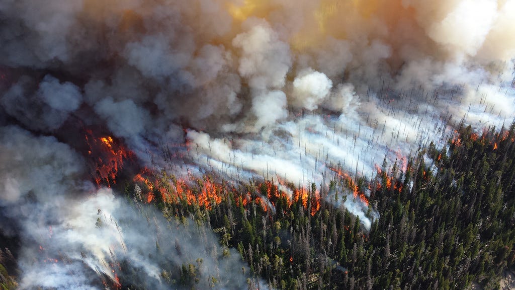 Wildfires, hazard reduction and remote intelligent vision