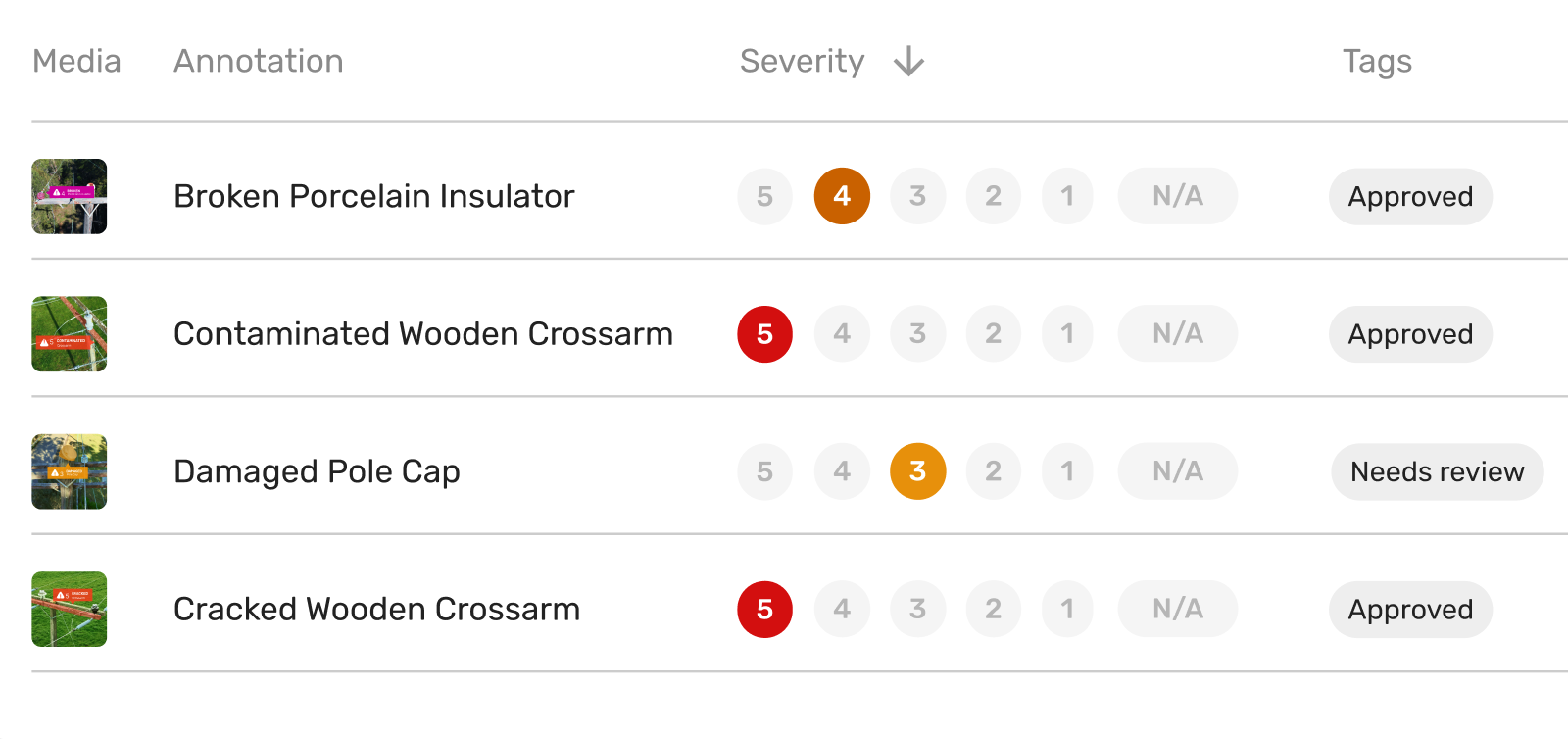 Actionable report showing asset severity levels and progress of review tagging.