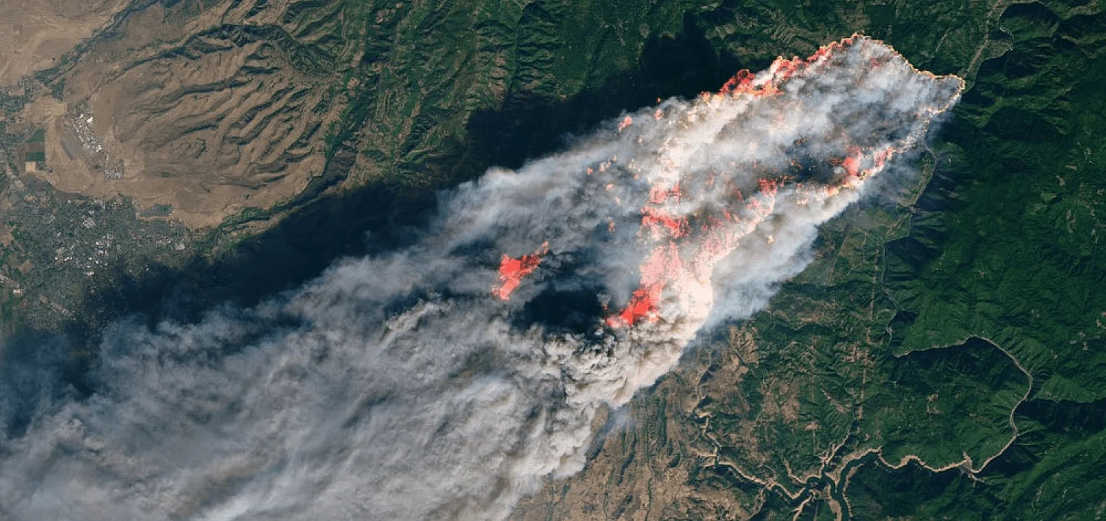 Wild Fires