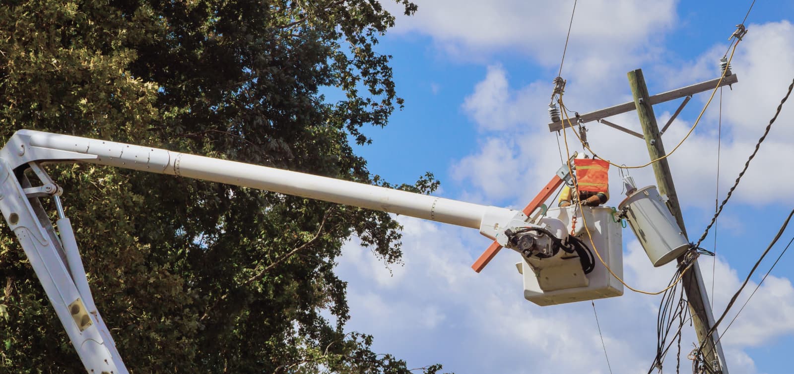 Rapidly surveying power lines for faults allows for key repairs to be prioritized before disaster strikes